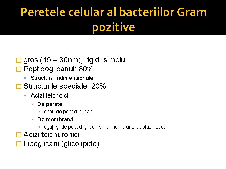 Peretele celular al bacteriilor Gram pozitive � gros (15 – 30 nm), rigid, �