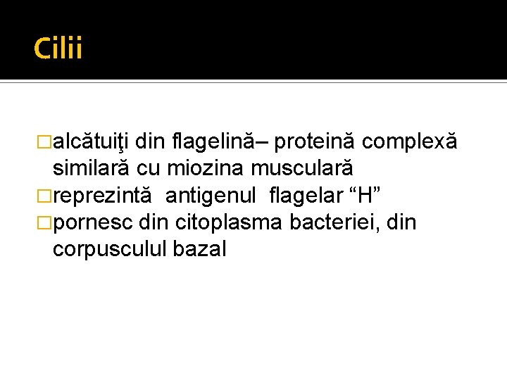 Cilii �alcătuiţi din flagelină– proteină complexă similară cu miozina musculară �reprezintă antigenul flagelar “H”