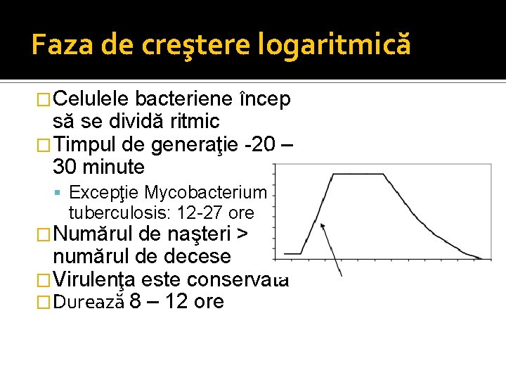 Faza de creştere logaritmică �Celulele bacteriene încep să se dividă ritmic �Timpul de generaţie