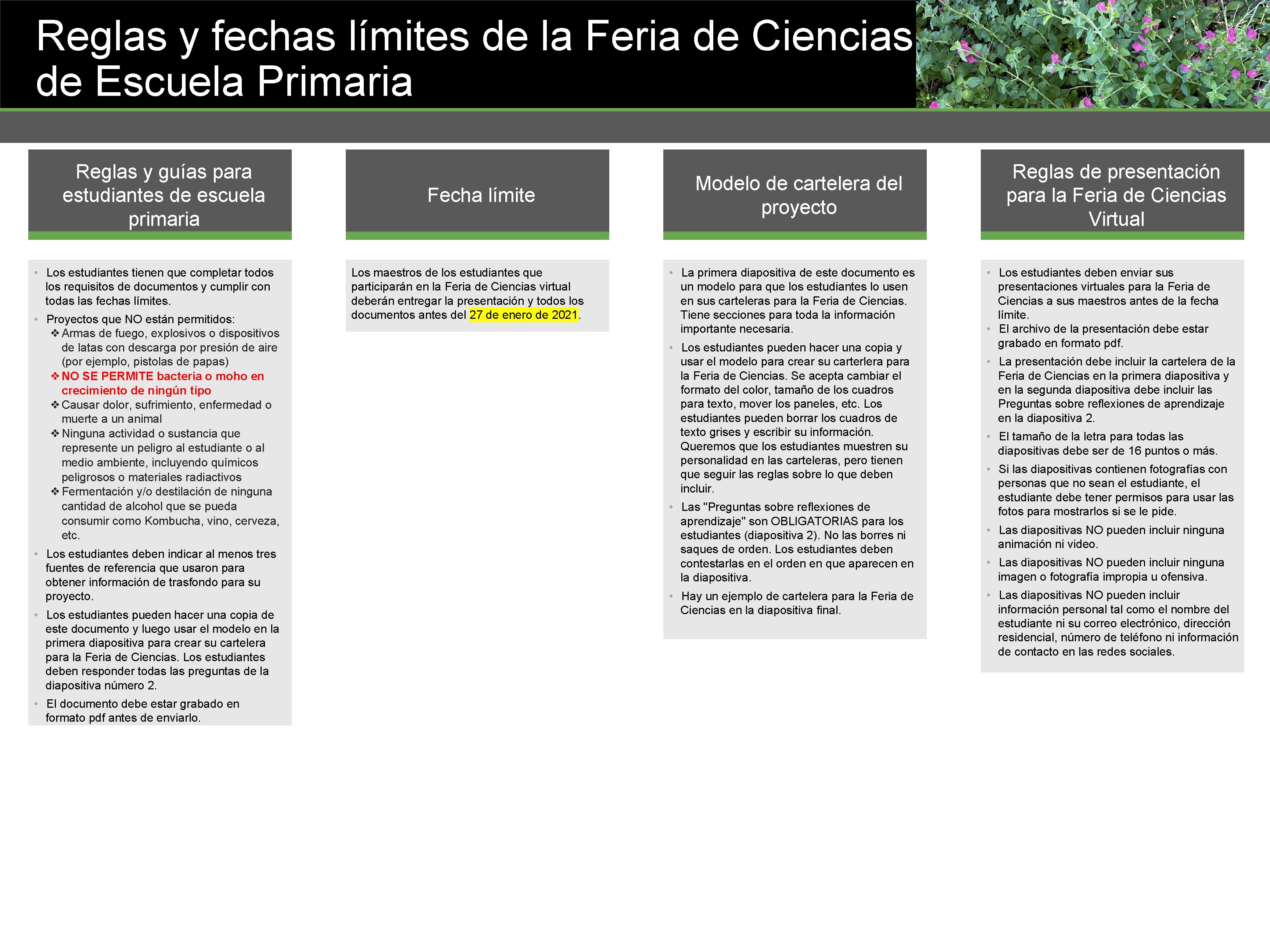 Reglas y fechas límites de la Feria de Ciencias de Escuela Primaria Reglas y