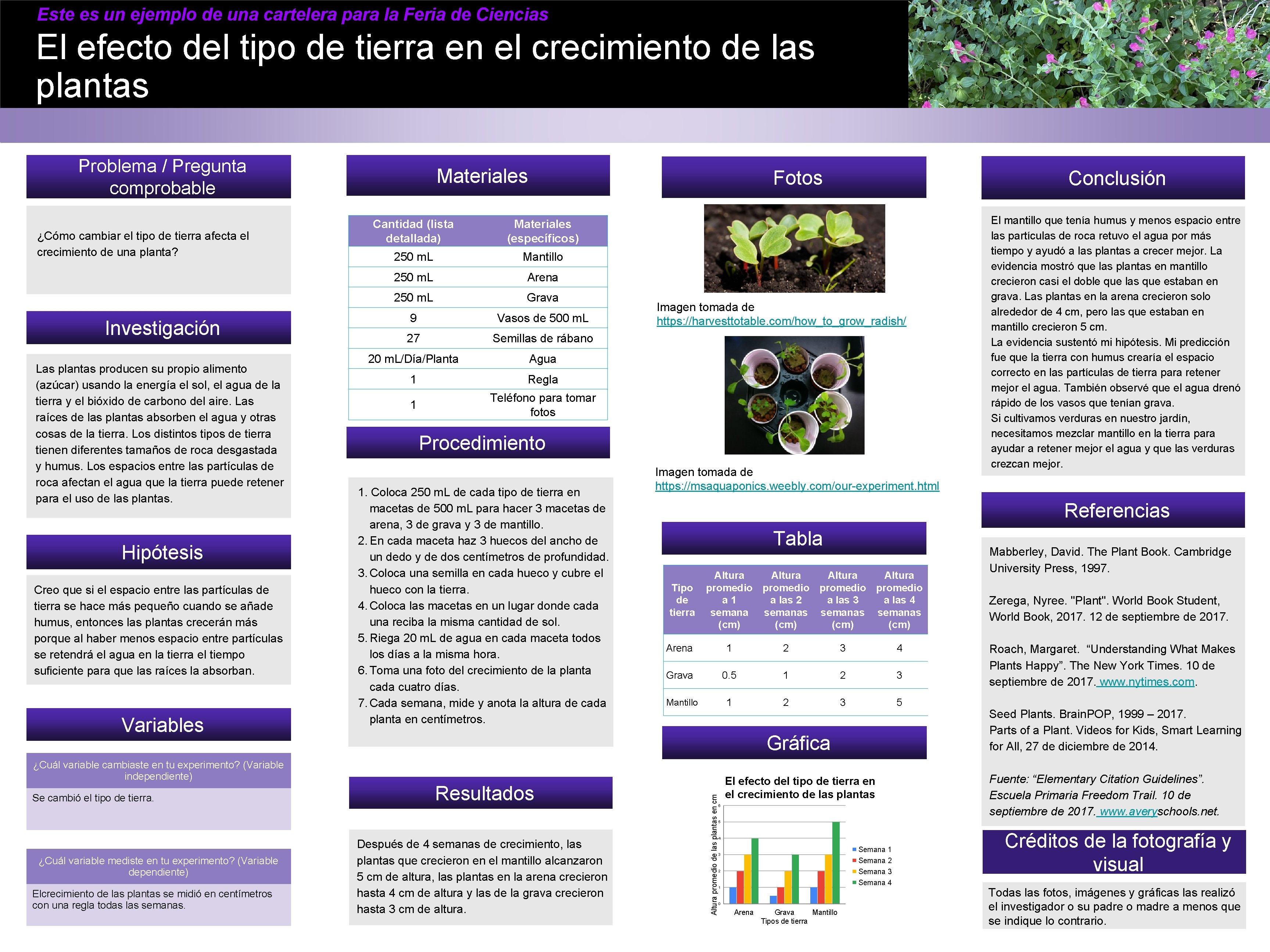 Este es un ejemplo de una cartelera para la Feria de Ciencias El efecto