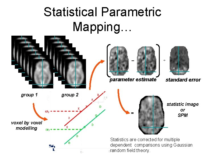 Statistical Parametric Mapping… – group 1 ¸ parameter estimate standard error = statistic image