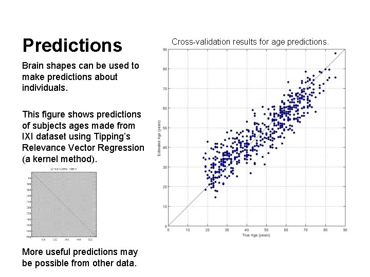 Predictions Brain shapes can be used to make predictions about individuals. This figure shows