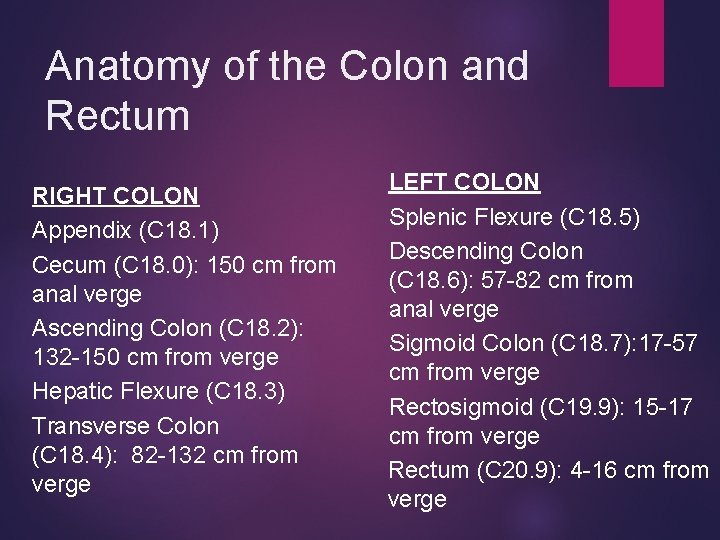 Anatomy of the Colon and Rectum RIGHT COLON Appendix (C 18. 1) Cecum (C