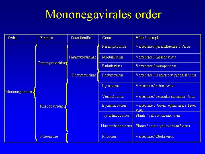 Mononegavirales order Ordre Famille Sous famille Genre Hôte / exemple Paramyxovirus Vertebrate / parainfluenza