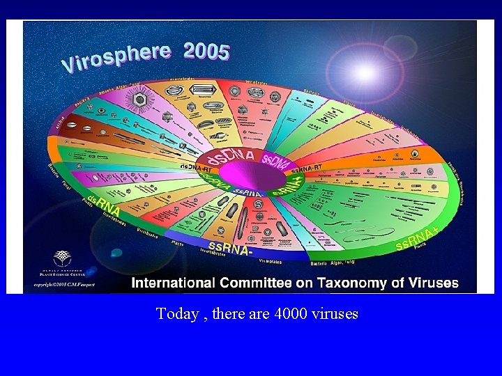 ICTV Virosphere Today , there are 4000 viruses 