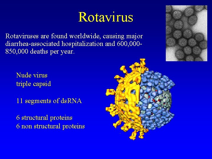 Rotavirus Rotaviruses are found worldwide, causing major diarrhea-associated hospitalization and 600, 000850, 000 deaths