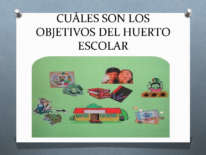 CUÁLES SON LOS OBJETIVOS DEL HUERTO ESCOLAR 