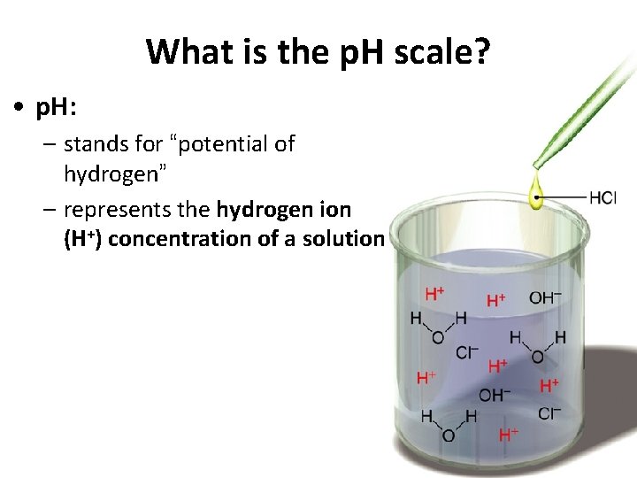 What is the p. H scale? • p. H: – stands for “potential of