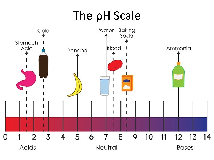 The p. H Scale 