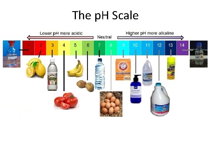 The p. H Scale 