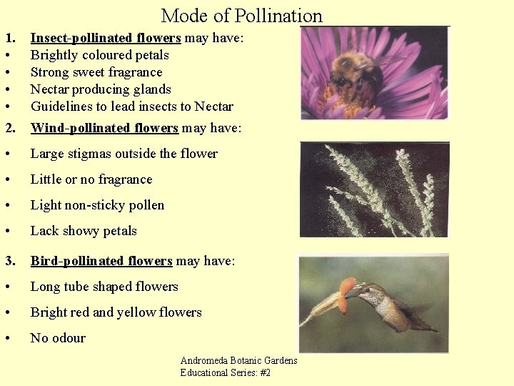 Structure and Function of the Flower CXC Biology