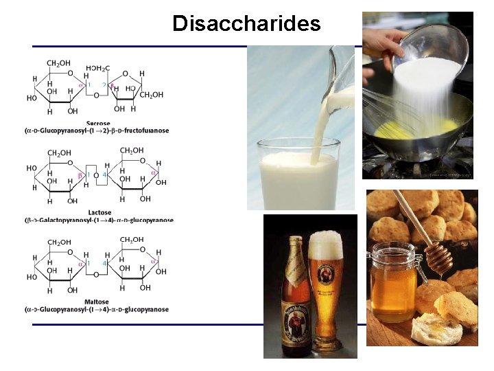 Disaccharides 