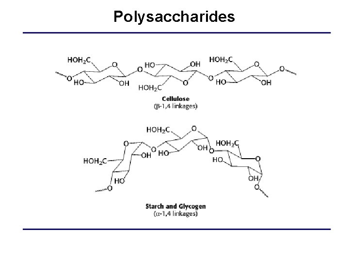 Polysaccharides 