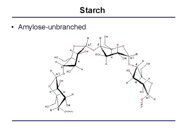 Starch • Amylose-unbranched 