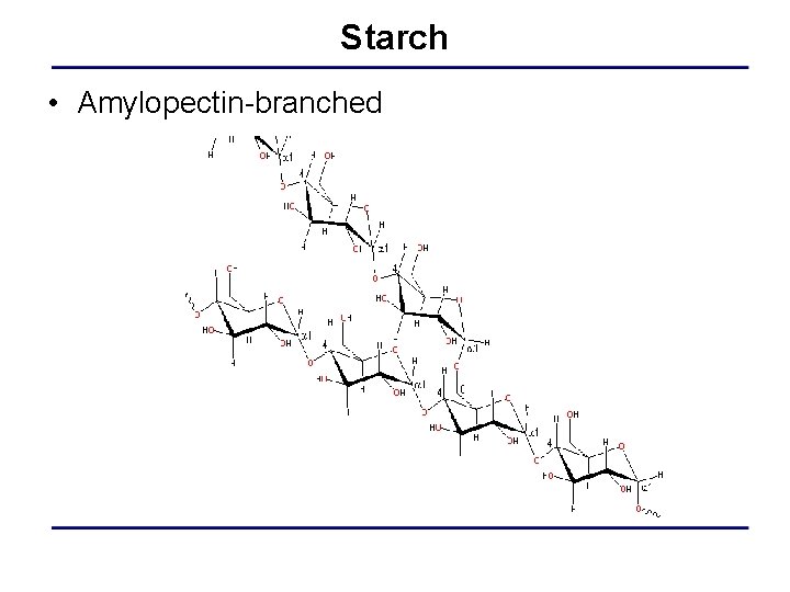 Starch • Amylopectin-branched 