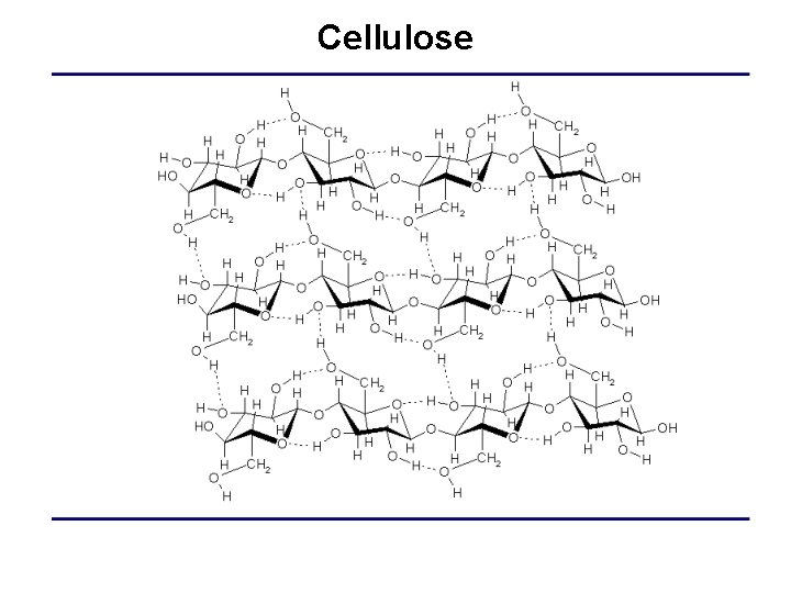 Cellulose 