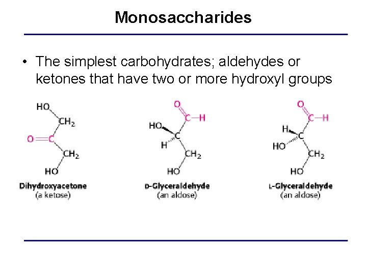 Monosaccharides • The simplest carbohydrates; aldehydes or ketones that have two or more hydroxyl