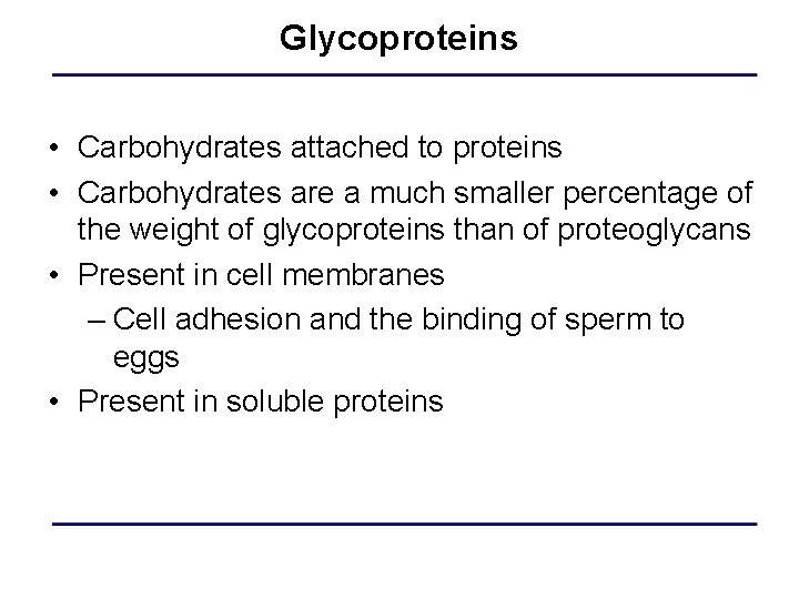 Glycoproteins • Carbohydrates attached to proteins • Carbohydrates are a much smaller percentage of