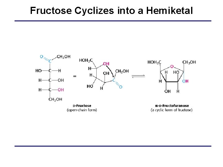 Fructose Cyclizes into a Hemiketal 