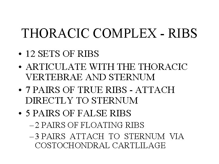 THORACIC COMPLEX - RIBS • 12 SETS OF RIBS • ARTICULATE WITH THE THORACIC