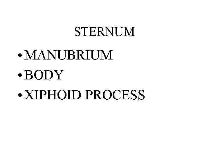 STERNUM • MANUBRIUM • BODY • XIPHOID PROCESS 