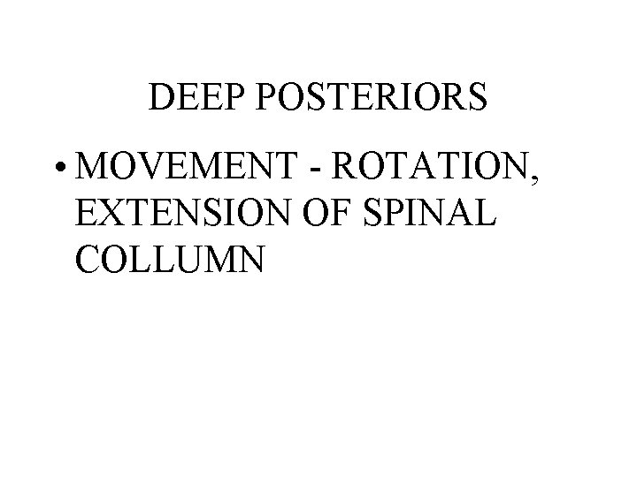 DEEP POSTERIORS • MOVEMENT - ROTATION, EXTENSION OF SPINAL COLLUMN 