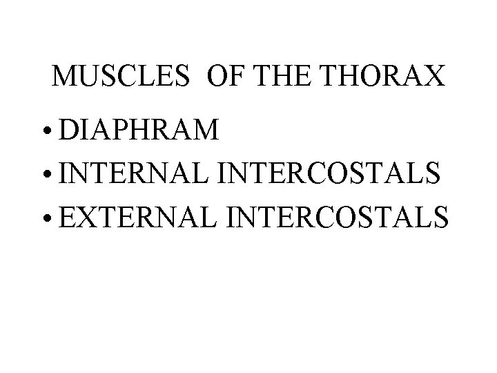 MUSCLES OF THE THORAX • DIAPHRAM • INTERNAL INTERCOSTALS • EXTERNAL INTERCOSTALS 