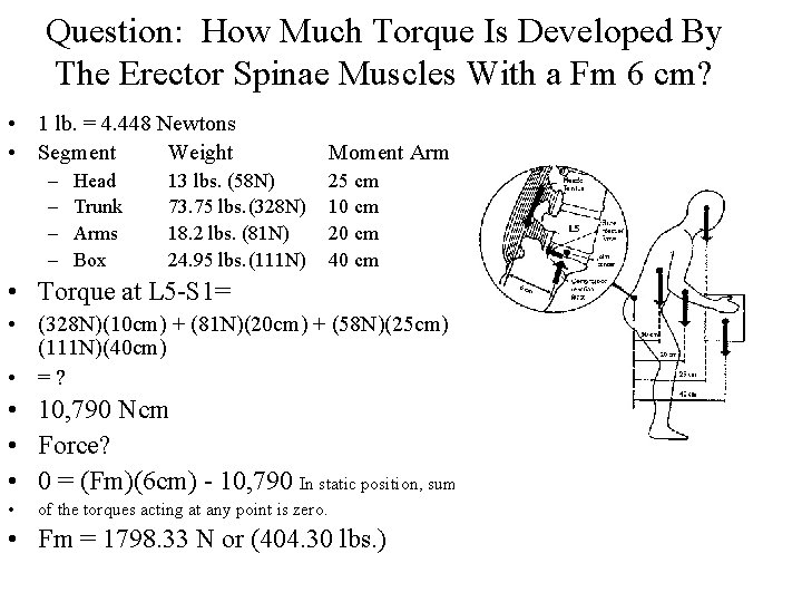 Question: How Much Torque Is Developed By The Erector Spinae Muscles With a Fm