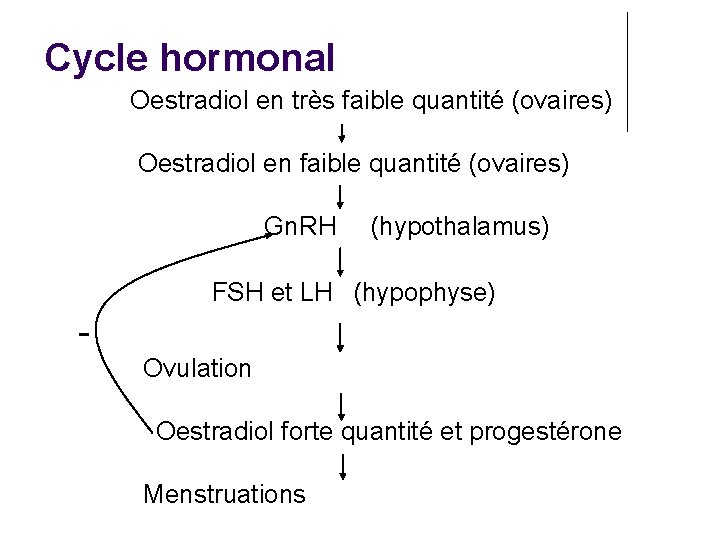 Cycle hormonal Oestradiol en très faible quantité (ovaires) Oestradiol en faible quantité (ovaires) Gn.