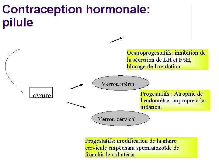 Contraception hormonale: pilule Oestroprogestatifs: inhibition de la sécrétion de LH et FSH, blocage de
