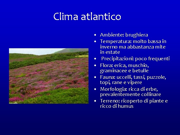 Clima atlantico • Ambiente: brughiera • Temperatura: molto bassa in inverno ma abbastanza mite