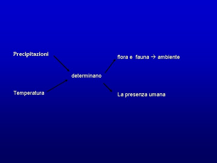 Precipitazioni flora e fauna ambiente determinano Temperatura La presenza umana 