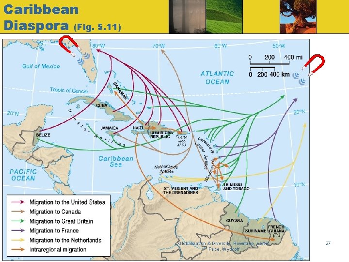 Caribbean Diaspora (Fig. 5. 11) Globalization & Diversity: Rowntree, Lewis, Price, Wyckoff 27 