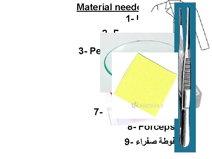 Material needed in lab 1 - Lab coat 2 - Practical note 3 -