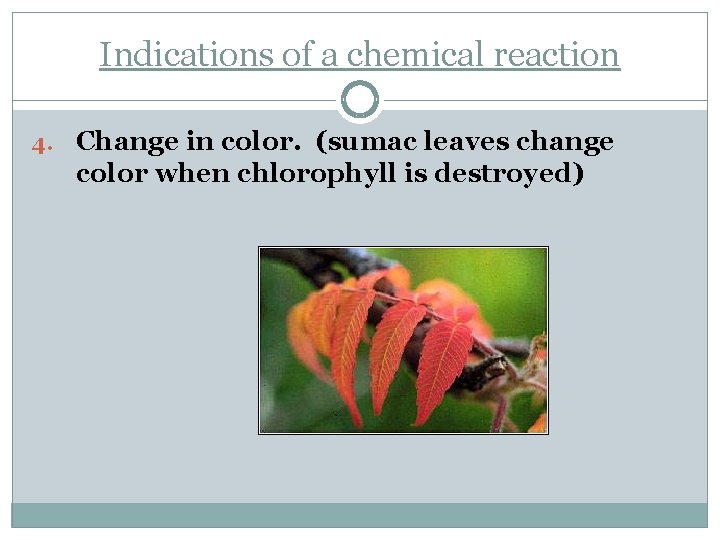 Indications of a chemical reaction 4. Change in color. (sumac leaves change color when