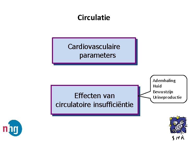 Circulatie Cardiovasculaire parameters Effecten van circulatoire insufficiëntie Ademhaling Huid Bewustzijn Urineproductie 