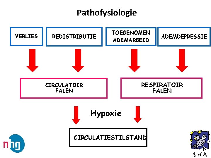Pathofysiologie VERLIES REDISTRIBUTIE TOEGENOMEN ADEMARBEID ADEMDEPRESSIE RESPIRATOIR FALEN CIRCULATOIR FALEN Hypoxie CIRCULATIESTILSTAND 