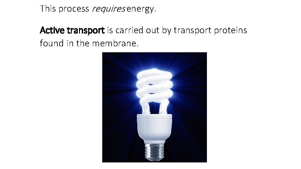 This process requires energy. Active transport is carried out by transport proteins found in