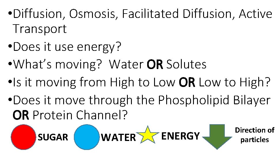  • Diffusion, Osmosis, Facilitated Diffusion, Active Transport • Does it use energy? •