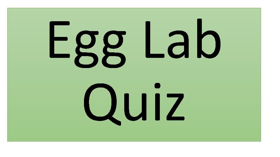 Egg Lab Quiz 