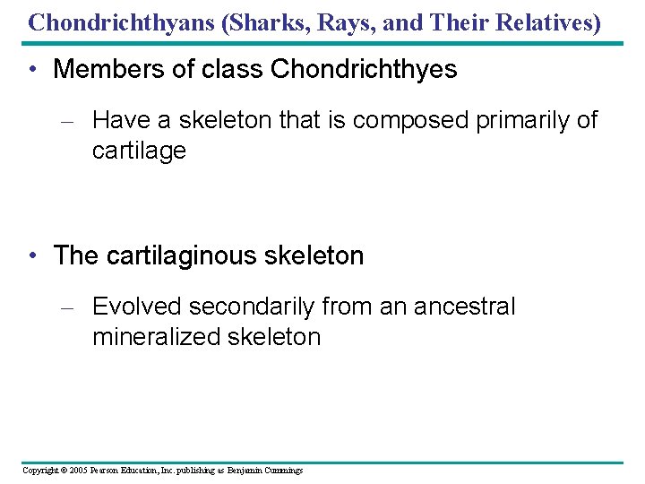 Chondrichthyans (Sharks, Rays, and Their Relatives) • Members of class Chondrichthyes – Have a