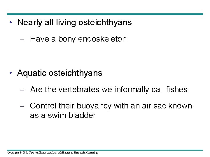  • Nearly all living osteichthyans – Have a bony endoskeleton • Aquatic osteichthyans