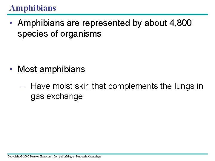 Amphibians • Amphibians are represented by about 4, 800 species of organisms • Most