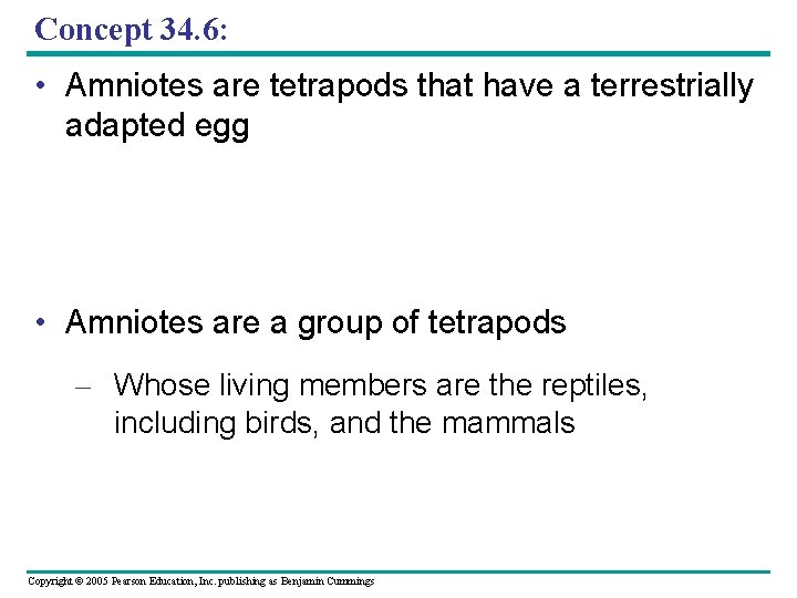 Concept 34. 6: • Amniotes are tetrapods that have a terrestrially adapted egg •