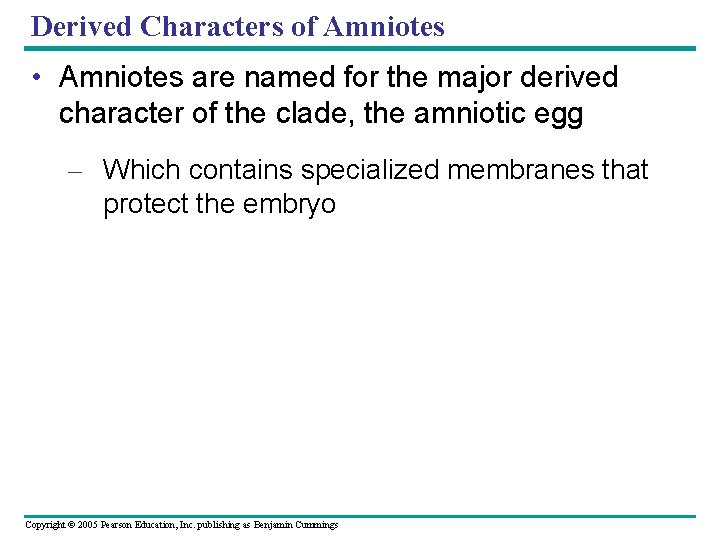 Derived Characters of Amniotes • Amniotes are named for the major derived character of