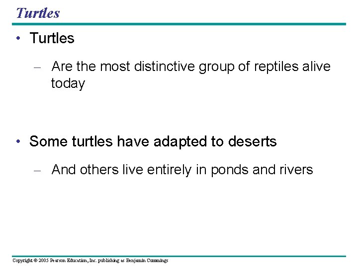 Turtles • Turtles – Are the most distinctive group of reptiles alive today •
