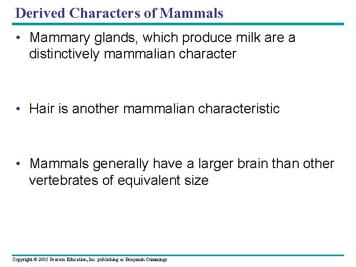 Derived Characters of Mammals • Mammary glands, which produce milk are a distinctively mammalian