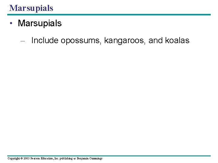 Marsupials • Marsupials – Include opossums, kangaroos, and koalas Copyright © 2005 Pearson Education,