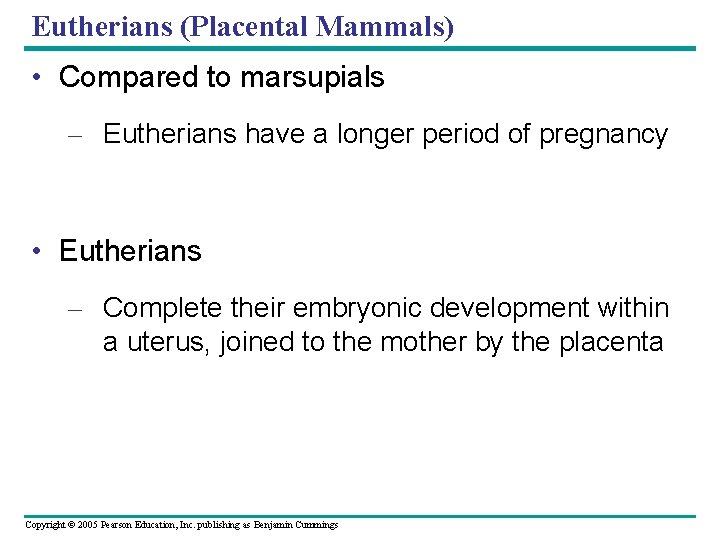 Eutherians (Placental Mammals) • Compared to marsupials – Eutherians have a longer period of